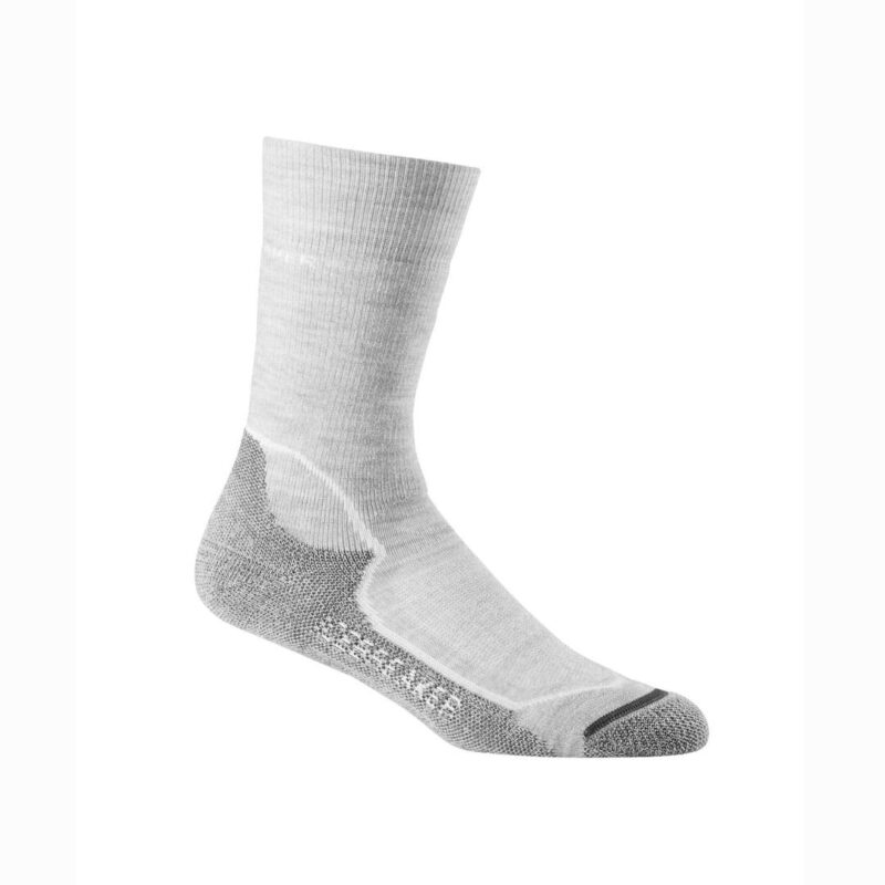 Icebreaker Women's Hike+ Medium Crew Sock Coastal Sports