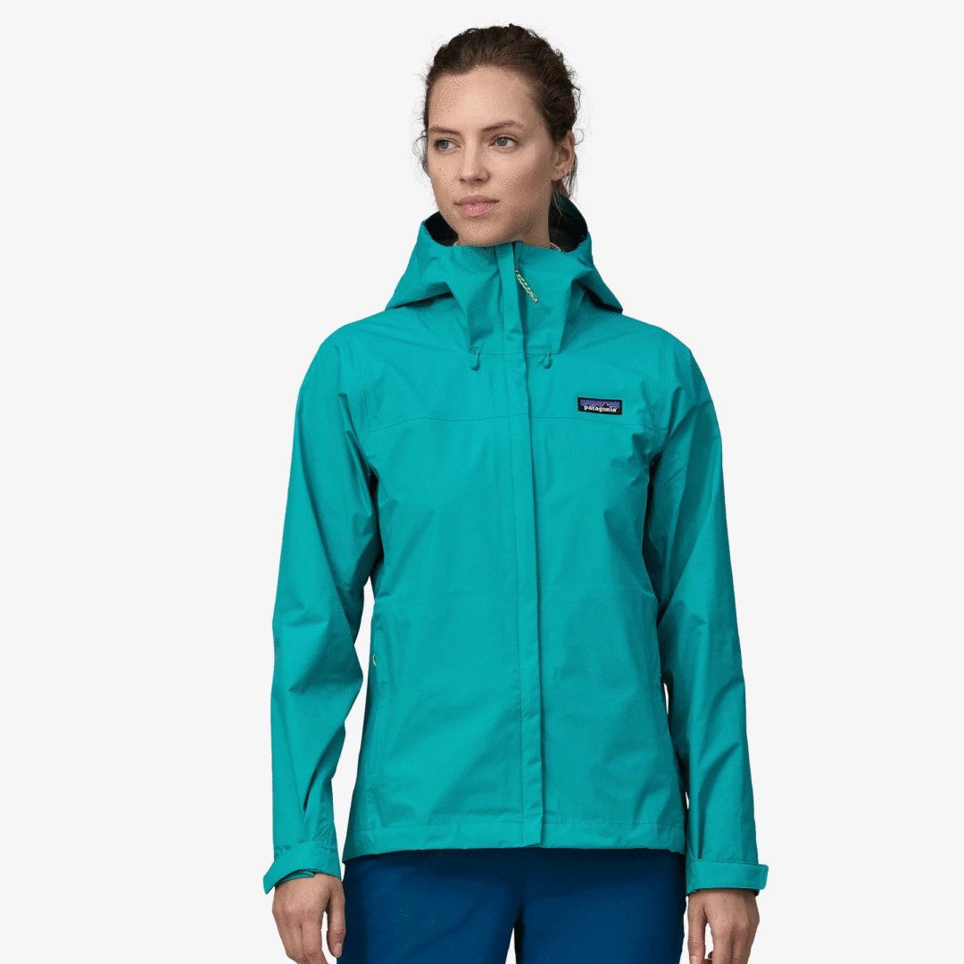 patagonia jacket blue