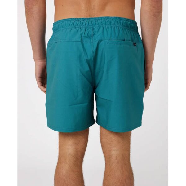 Alternative view of Rip Curl Men's Daily Volly Washed Forest