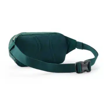 Alternative view of Patagonia Terravia Mini Hip Pack Cascade Green