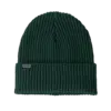 Patagonia Fishermans Rolled Beanie Cascade Green