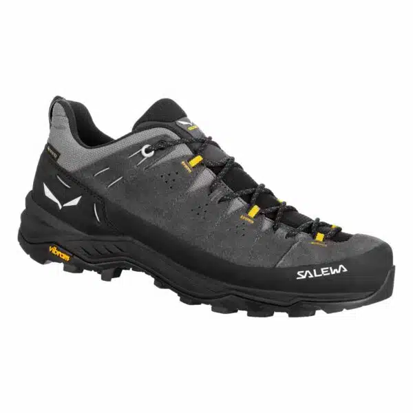 Salewa Men's Alp Trainer 2 GTX Onyx/Black