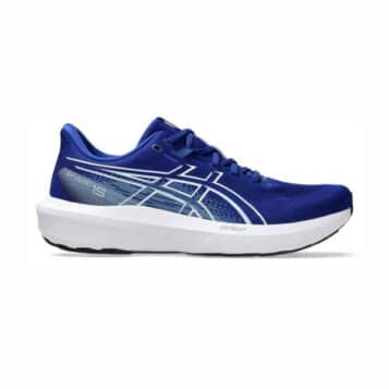 Asics GT-1000 15