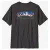 Patagonia Men's Fitz Roy Foothills T-Shirt Ink Black - Image 2