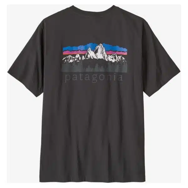 Alternative view of Patagonia Men's Fitz Roy Foothills T-Shirt Ink Black
